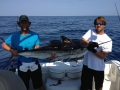 White Marlin Released